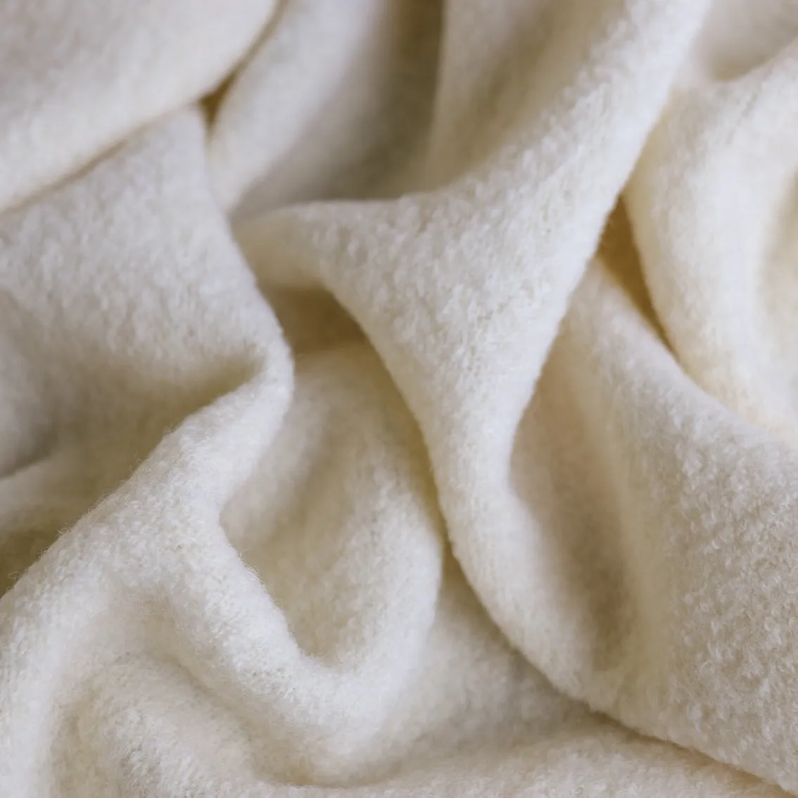 Bollito Ivorio Boiled Wool