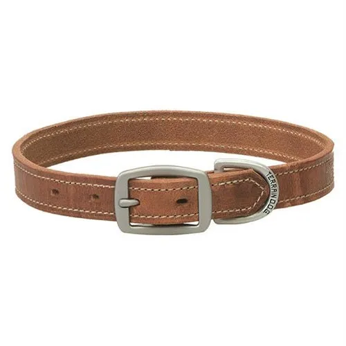 Harness Leather Dog Collar